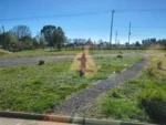 Imperdible: Parcela con Vista a Volcanes en Lautaro-5.000 m² - Imagen 23