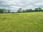 Exclusiva: Parcela en Loteo Hacienda Brasil, Lautaro - 5.000 m² - Imagen 4