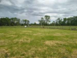 Exclusiva: Parcela en Loteo Hacienda Brasil, Lautaro - 5.000 m² - Imagen 5