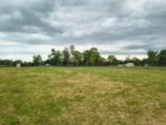 Exclusiva: Parcela en Loteo Hacienda Brasil, Lautaro - 5.000 m² - Imagen 7