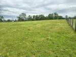 Exclusiva: Parcela en Loteo Hacienda Brasil, Lautaro - 5.000 m² - Imagen 9