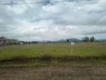 Oportunidad: Parcela en Viejo Roble Lautaro - 5.000 m² - Imagen 4