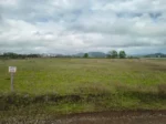 Oportunidad: Parcela en Viejo Roble Lautaro - 5.000 m² - Imagen 5