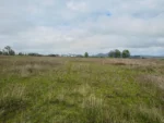 Oportunidad: Parcela en Viejo Roble Lautaro - 5.000 m² - Imagen 6